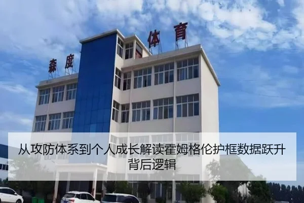 从攻防体系到个人成长解读霍姆格伦护框数据跃升背后逻辑